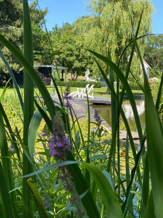 Gastenverblijf Nature 4-Persoons Ouddorp Eksteriør billede