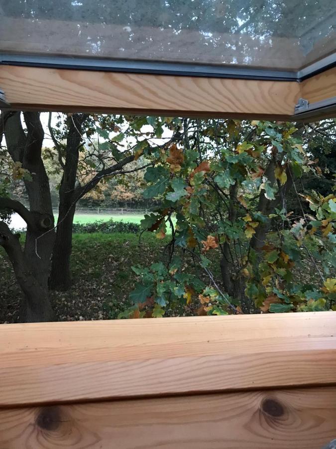 Gastenverblijf Nature 4-Persoons Ouddorp Eksteriør billede